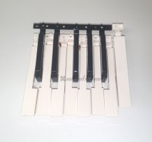 Ersatztaste Note TOPC (last C)