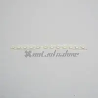 Korg microKORG S Contact Rubber strip 12-note Spare Replacement Part